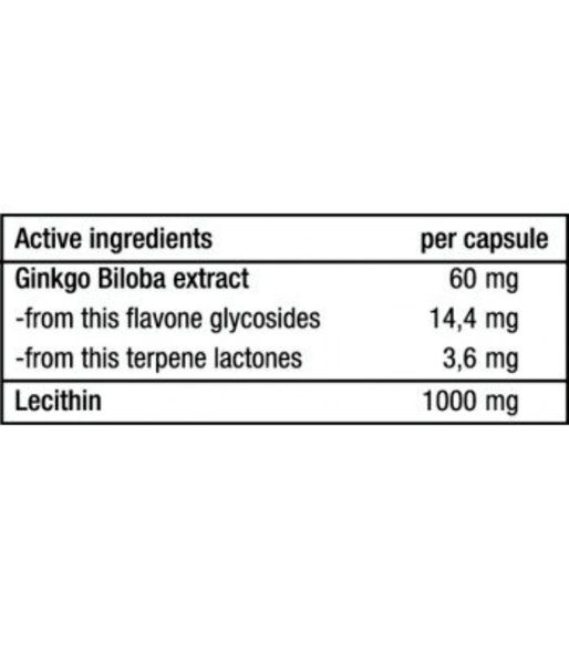 BiotechUSA Ginkgo Biloba, 90 таб. BiotechUSA-86 фото